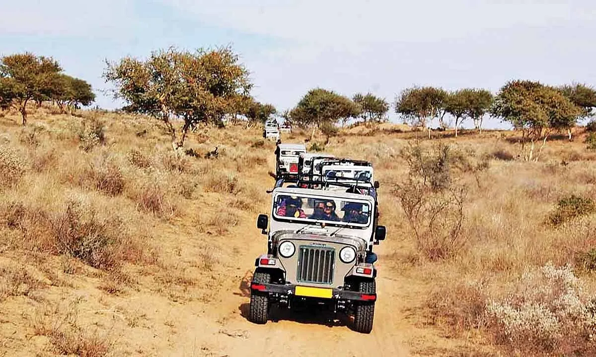 Tourist Attractions Near Guda Bishnoi Village